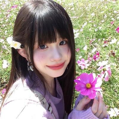 鸟儿们的奇幻冒险